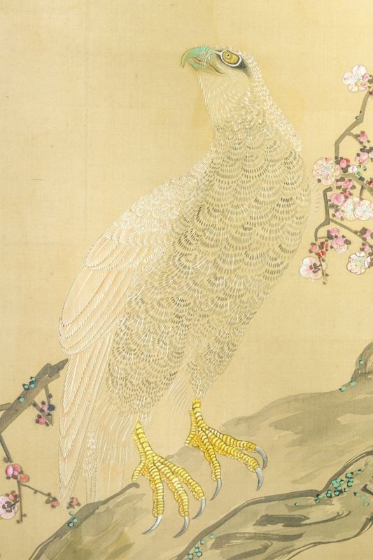 Hakyo Japanese Hanging Scroll Painting Hawk on Plum Tree: Hakyo Japanese Hanging Scroll Painting Hawk on Plum Tree Item Specifics: Artist: Kakizaki Hakyo Subject: Hawk and Plum Tree Material: Ink and Color on Paper Style: Japanese Year Of Production: 2010 Pr