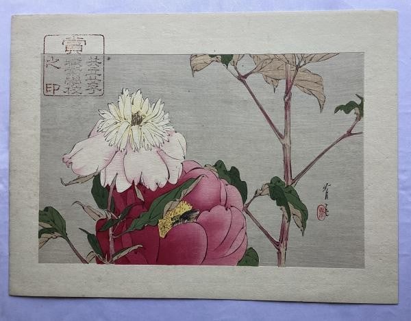 Watanabe Seitei Japanese Woodblock Print Kacho ga Bird and Flower Art: Watanabe Seitei Japanese Woodblock Print Kacho ga Bird and Flower Art Item Specifics: Artist: Watanabe Seitei Subject: Kacho-ga (Bird and Flower) Material: Paper Style: Japanese Size: 31.7 x 20.8 cm P
