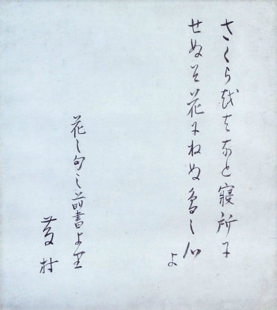 Shimazaki Toson Calligraphy Hanging Scroll Poem Sakura Japanese Antique: Shimazaki Toson Calligraphy Hanging Scroll Poem Sakura Japanese Antique Item Specifics: Artist: Shimazaki Toson Subject: Poetry Calligraphy Cherry Blossoms Material: Paper Ink Silk Style: Japanese Yea