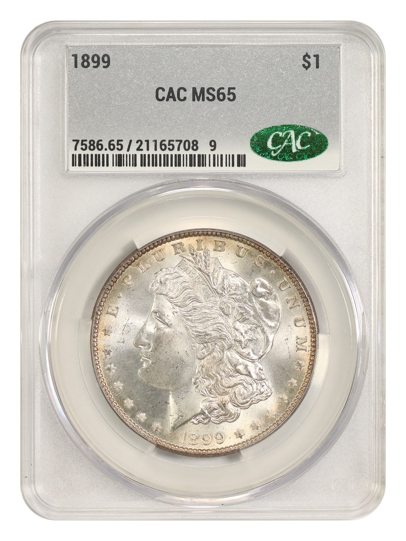 1899 $1 CACG MS65 - Morgan Dollar - Better P-Mint Morgan: 1899 $1 CACG MS65 - Morgan Dollar - Better P-Mint Morgan The 1899 $1 CACG MS65 Morgan Dollar is a highly graded uncirculated coin, certified by the Coin Authentication and Certification Group (CACG). 