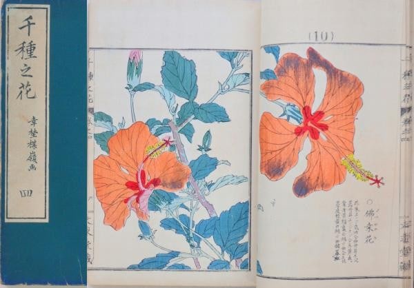 Kono Bairei Chigusa no Hana Flowers Woodblock Print Book Vol 4 Meiji 1905: Kono Bairei Chigusa no Hana Flowers Woodblock Print Book Vol 4 Meiji 1905 Item Specifics: Artist: Kono Bairei Subject: Botanical Flowers Material: Paper Style: Japanese Size: 24 x 16 cm Year Of Produc