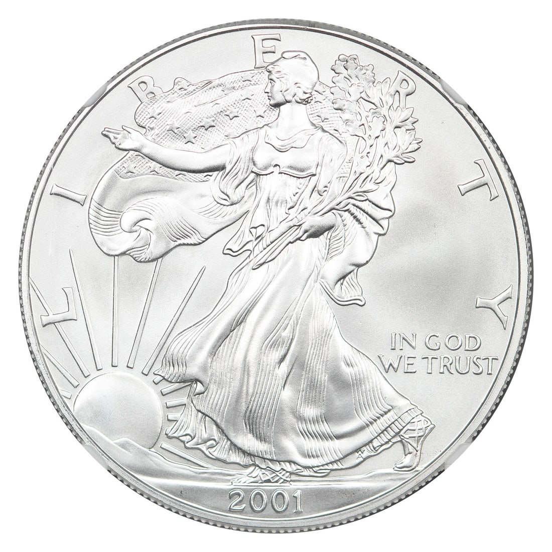 Silver Eagles $1 2001 MS70 NGC - 3