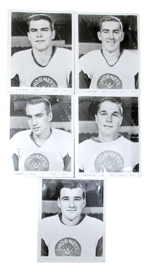 Hornets 5 8x10 Team Photos 192147 Issued 1965-66: Hornets 5 8x10 Team Photos 192147 Issued 1965-66 Five 8x10 team photos of the Hornets, issued from 1965-66, showcasing a nostalgic glimpse into the early days of the American Hockey League. Each photo