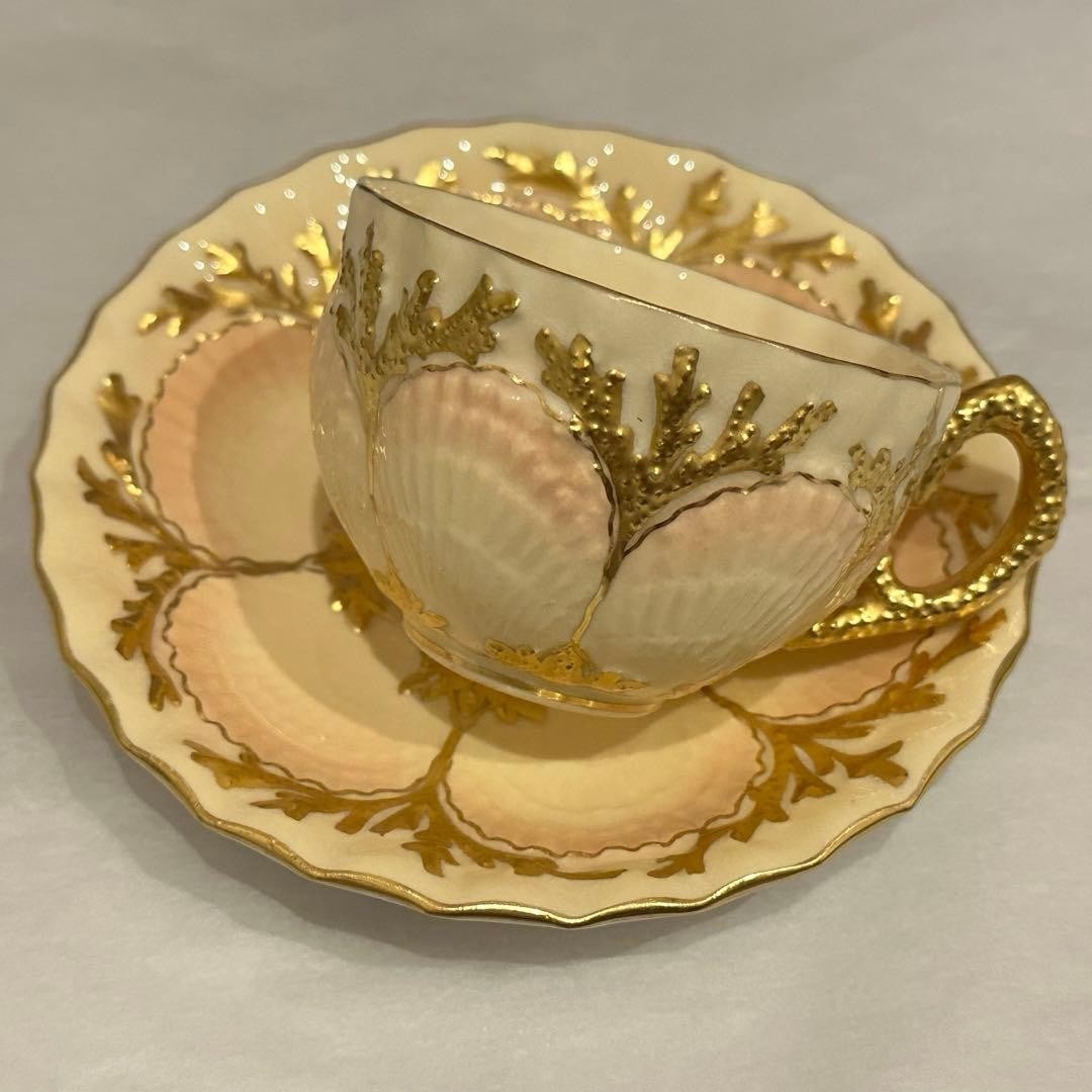 Coalport Shell Gold Trim Antique Saucer Cup Rare Collectible Tableware: Coalport Shell Gold Trim Antique Saucer Cup Rare Collectible Tableware Item Specifics: Number Of Items In Set: NA Origin: NA Shape: NA Signed By: NA Keeps Cold For: NA Occasion: NA Vintage: NA Keeps