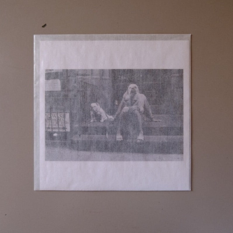 ELLIOTT ERWITT 6"x 6" MAGNUM PRINT New York 2000 Last Actual Signed Print NEW: ELLIOTT ERWITT 6"x 6" MAGNUM PRINT New York 2000 Last Actual Signed Print NEW Item Specifics: Artist: ELLIOTT ERWITT Signed By: ELLIOTT ERWITT Size: Medium Signed: Yes Material: Paper Original/License