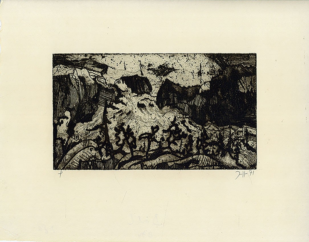 Signed Copperplate Print Etching Composition Art by Horst Janssen 1971 (1 of 6)