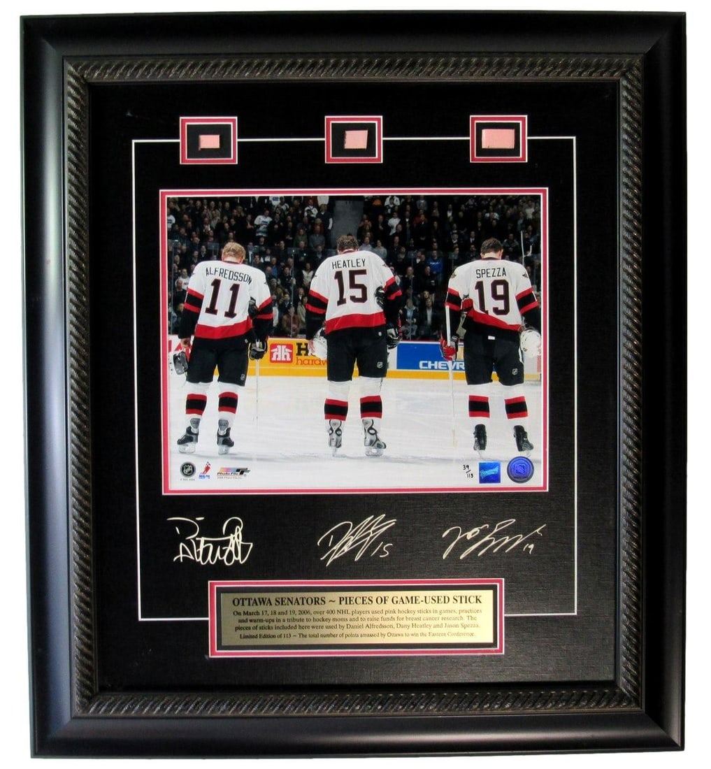 Used Senators Stick IXL12 Photo Framed Matted 19x23 Game 2006 Ottawa (1 of 2)