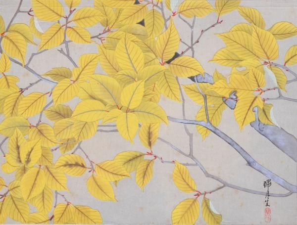 Mizuki Ikeda Autumn Leaves Soka Gafu Art Woodblock Print 1932: Mizuki Ikeda Autumn Leaves Soka Gafu Art Woodblock Print 1932 Item Specifics: Artist: Ikeda Mizuki Subject: Autumn Leaves Flowers Botanical Material: Paper Style: Japanese Product Disclaimer: Please