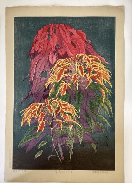 Japanese Shin Hageito Print Sakai Inuzuka Kawaguchi Taisui Woodblock hanga: Japanese Shin Hageito Print Sakai Inuzuka Kawaguchi Taisui Woodblock hanga Item Specifics: Artist: Inuzuka Taisui Subject: Hageito (Joseph's Coat / Amaranthus) Material: Washi paper Ink Style:
