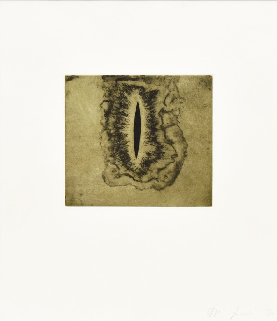 Anish Kapoor Blackness from Her Womb 1 Signed Etching 2000 Ltd Ed 30: Anish Kapoor Blackness from Her Womb 1 Signed Etching 2000 Ltd Ed 30 Item Specifics: Artist: Anish Kapoor Subject: Abstract / Void / Metaphysical Material: Etching on Paper Style: Japanese Product Dis