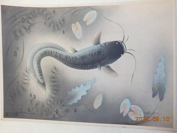 Woodblock Print Fish Namazu Great Collection Catfish Ohno Pre war Bakufu: Woodblock Print Fish Namazu Great Collection Catfish Ohno Pre war Bakufu Item Specifics: Artist: Bakufu Ohno Subject: Catfish Material: Paper Style: Japanese Product Disclaimer: Please review the full