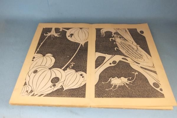 Unsodo Taisho Era 1910s Ito Jakuchu Gacho 2 Vols Woodblock Print Art Book: Unsodo Taisho Era 1910s Ito Jakuchu Gacho 2 Vols Woodblock Print Art Book Item Specifics: Artist: Ito Jakuchu Subject: Art / Nature Flowers and Animals Material: Paper Style: Japanese Size: 31 x 21 cm