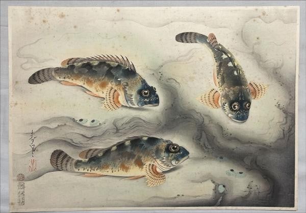 Woodblock Print 1939 Authentic Japanese Fish Art Scorpionfish Kasago Bakufu Ohno: Woodblock Print 1939 Authentic Japanese Fish Art Scorpionfish Kasago Bakufu Ohno Item Specifics: Artist: Bakufu Ohno Year Of Production: 1939 Size: 28 x 39.5 cm Style: Japanese Material: Washi paper W