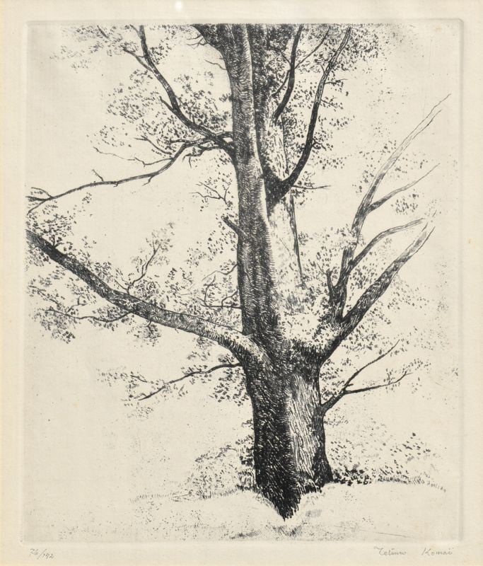 Copper Plate Print Trees Japanese Modernist Etching Art By Tetsuro Komai: Copper Plate Print Trees Japanese Modernist Etching Art By Tetsuro Komai Item Specifics: Artist: Tetsuro Komai Subject: Trees Material: Copper plate etching on paper Style: Japanese Year Of Production