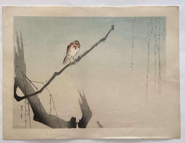Meiji Art Print Woodblock Japanese Watanabe Seitei Authentic 18x25cm: Meiji Art Print Woodblock Japanese Watanabe Seitei Authentic 18x25cm Item Specifics: Artist: Watanabe Seitei Subject: Kacho-ga (Bird and Flower) Material: Washi Paper Style: Japanese Size: 18 x 25 cm