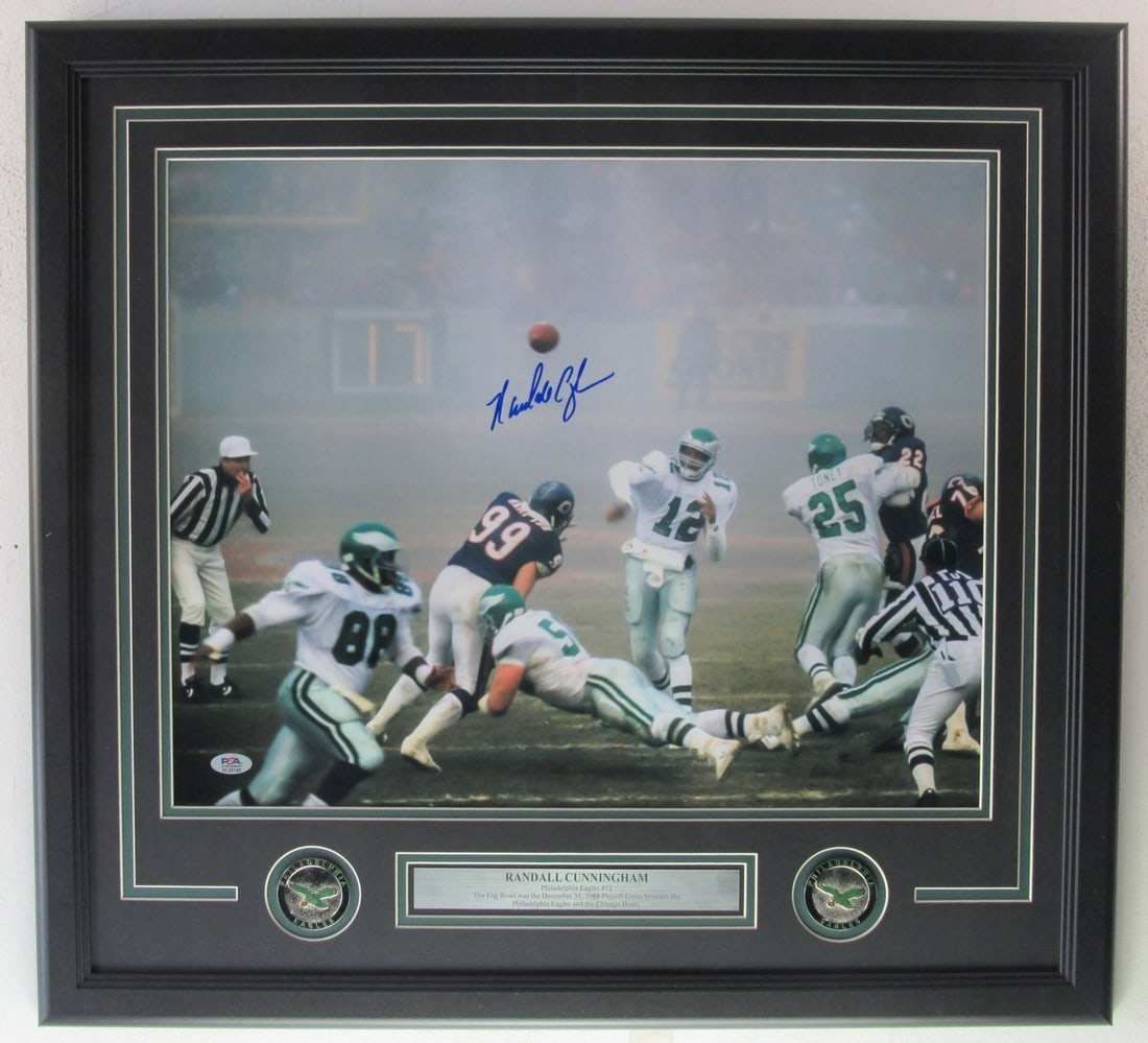Signed Cunningham Randall 16x20 Photo Framed Eagles Philadelphia PSA (1 of 4)