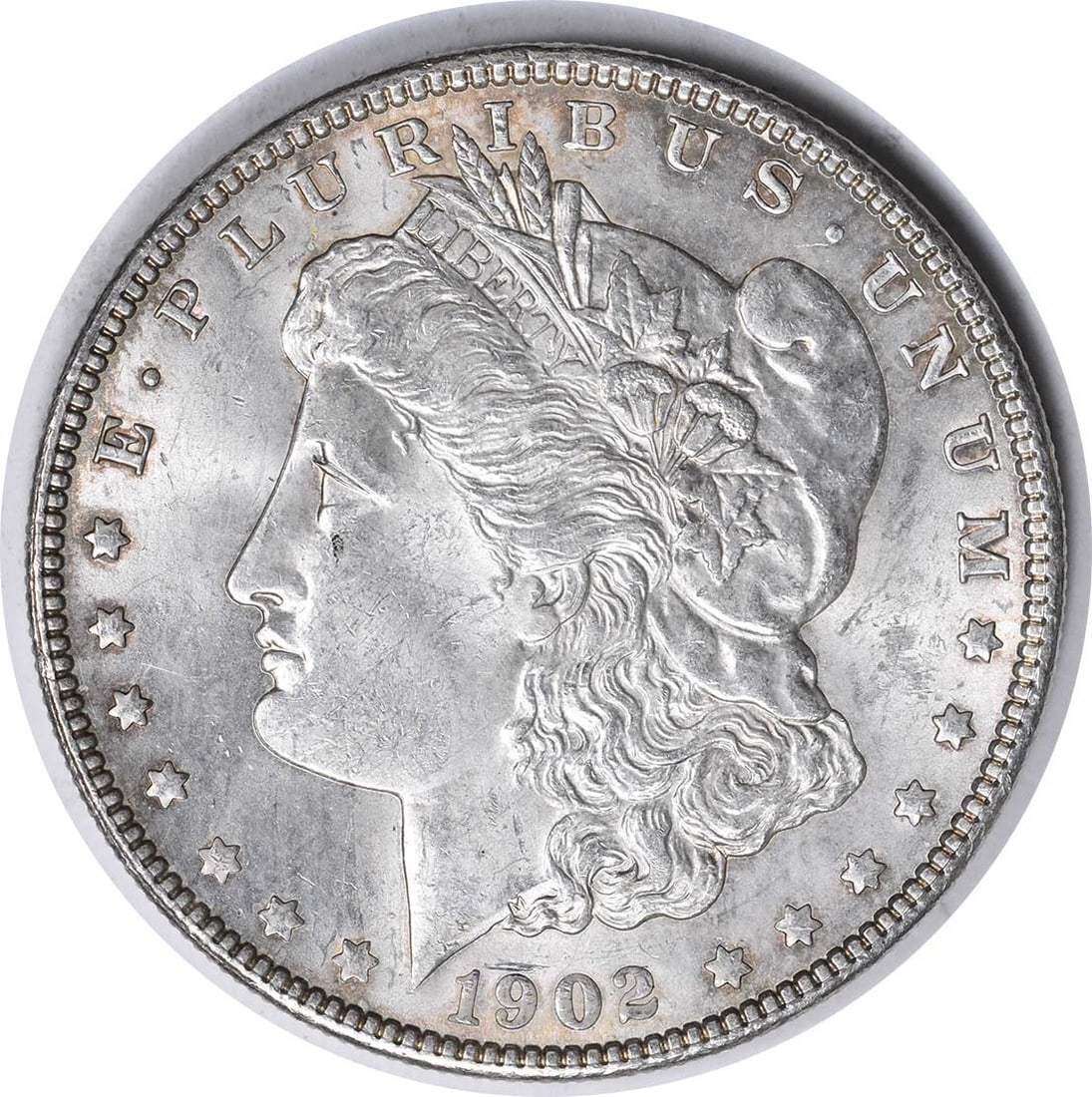 1902 VAM 4 Morgan Dollar Doubled Ear BU Uncertified (1 of 2)