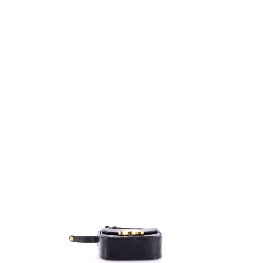 Claude Celine Mini Shoulder Lizard Bag - 4
