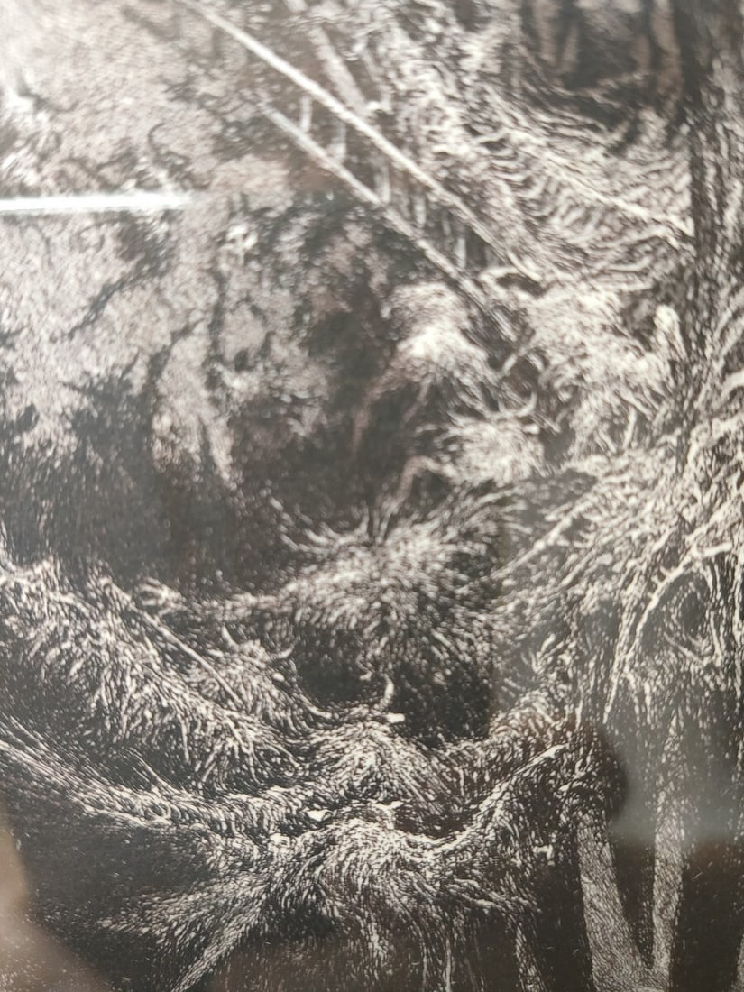 Albin Brunovsky Signed Fantasy Etching Hell Aquatint Numbered - 5