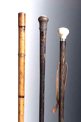 Three 19th century walking canes, one a