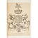 Engraved coats-of-arms 4 large volumes of cut