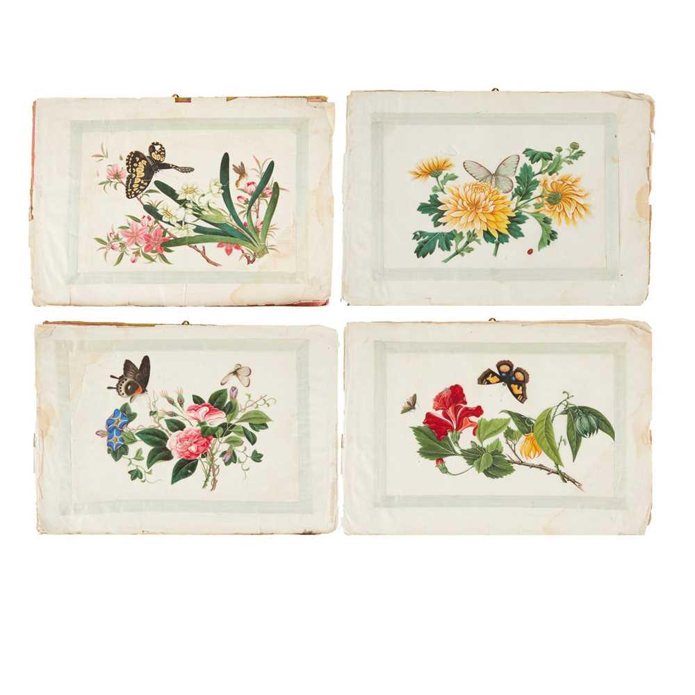 ALBUM OF TEN BOTANY BUTTERFLIES PITH PAINTINGS QING (1 of 7)