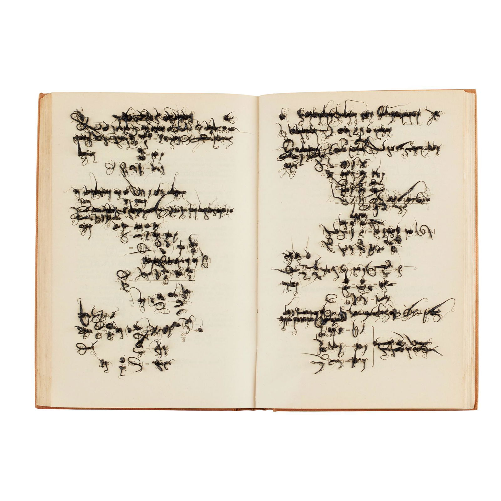 § JONATHAN CALLAN (BRITISH b.1961-) ELEMENTARY: Silicone and book (Dimensions: 19cm x 25.5cm (7.5in x 10in))(19cm x 25.5cm (7.5in x 10in))Footnote: Exhibited: Hales Gallery, London; Gimpel Fils, London