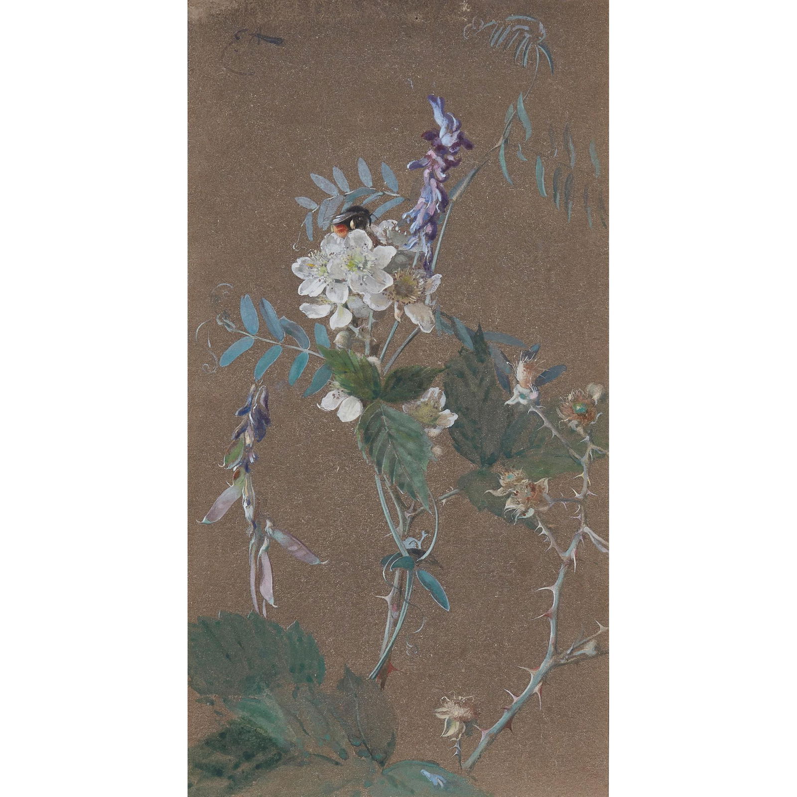 EDWIN JOHN ALEXANDER R.S.A., R.S.W., R.W.S. (SCOTTISH: EDWIN JOHN ALEXANDER R.S.A., R.S.W., R.W.S. (SCOTTISH 1870-1926) BRAMBLE AND PURPLE VETCH Signed with a monogram, watercolour on oatmeal paper(32.5cm x 17cm (12.75in x 6.75in))Footnote: Exhibited: The