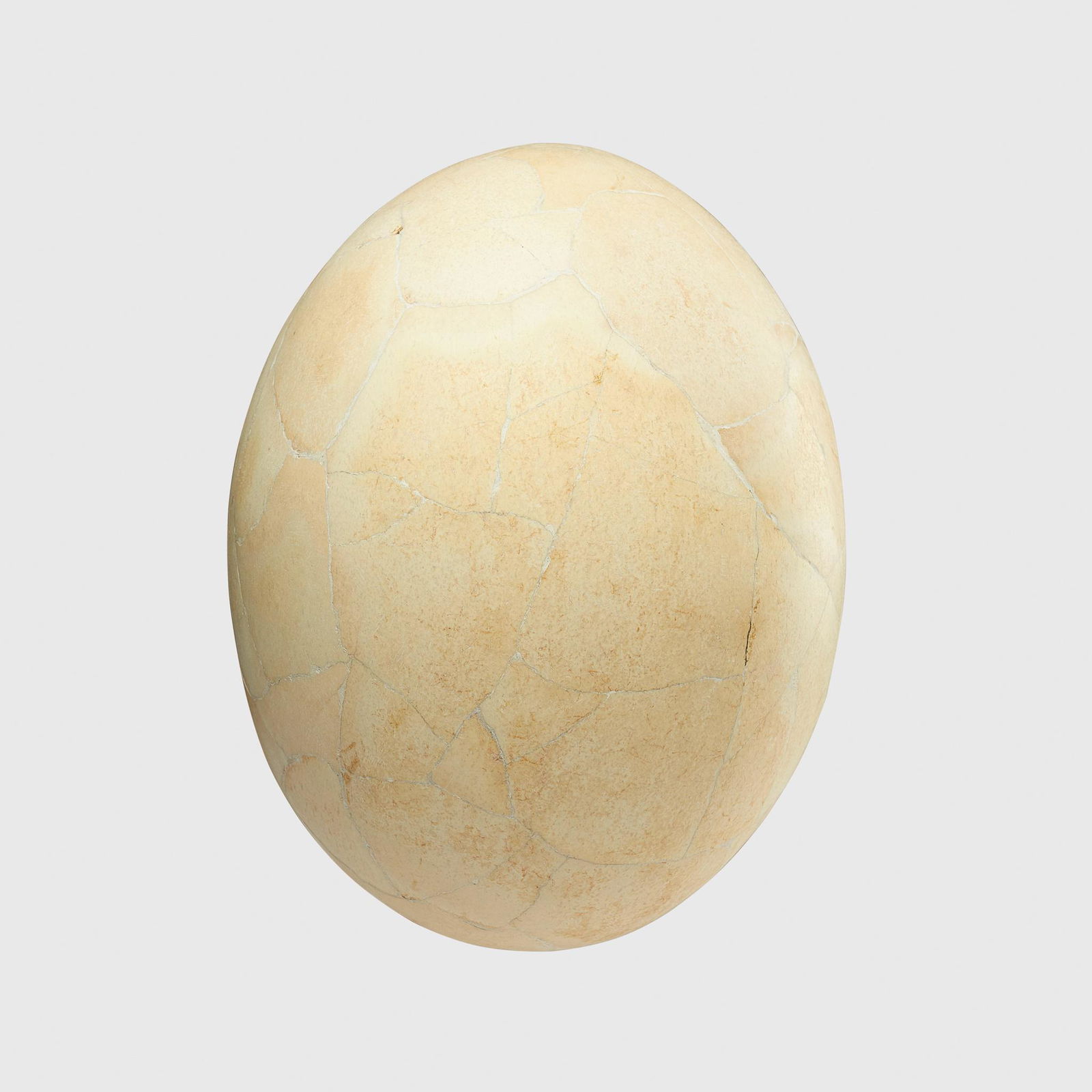 ELEPHANT BIRD EGG MADAGASCAR, PLEISTOCENE PERIOD (1 of 2)