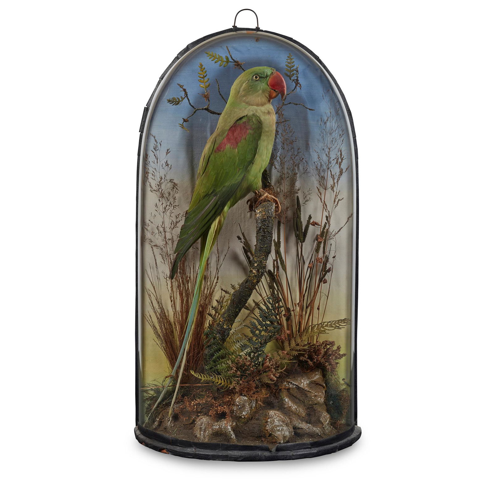 Y FOUR TAXIDERMY DIORAMAS LATE 19TH/ EARLY 20TH CENTURY (1 of 7)