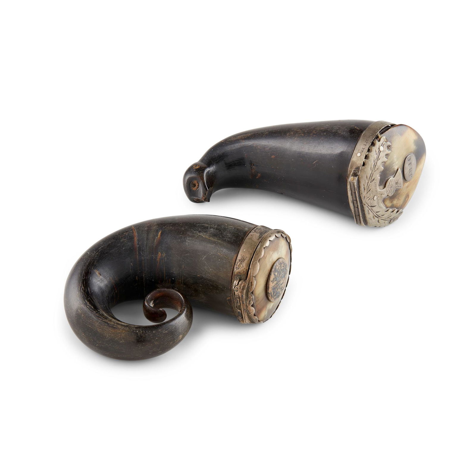 A NOVELTY SEA MAMMAL SNUFF MULL 19TH CENTURY (1 of 1)