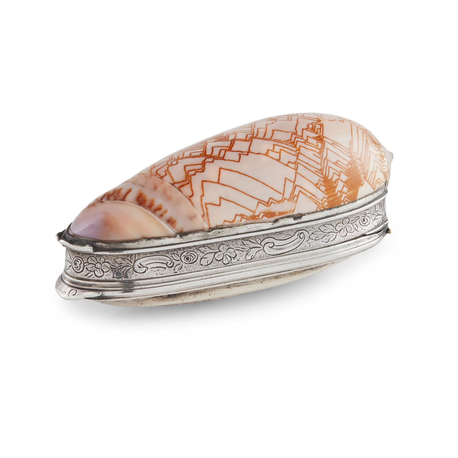 AN OLIVIA PORPHYRIA SHELL SNUFF BOX (1 of 2)