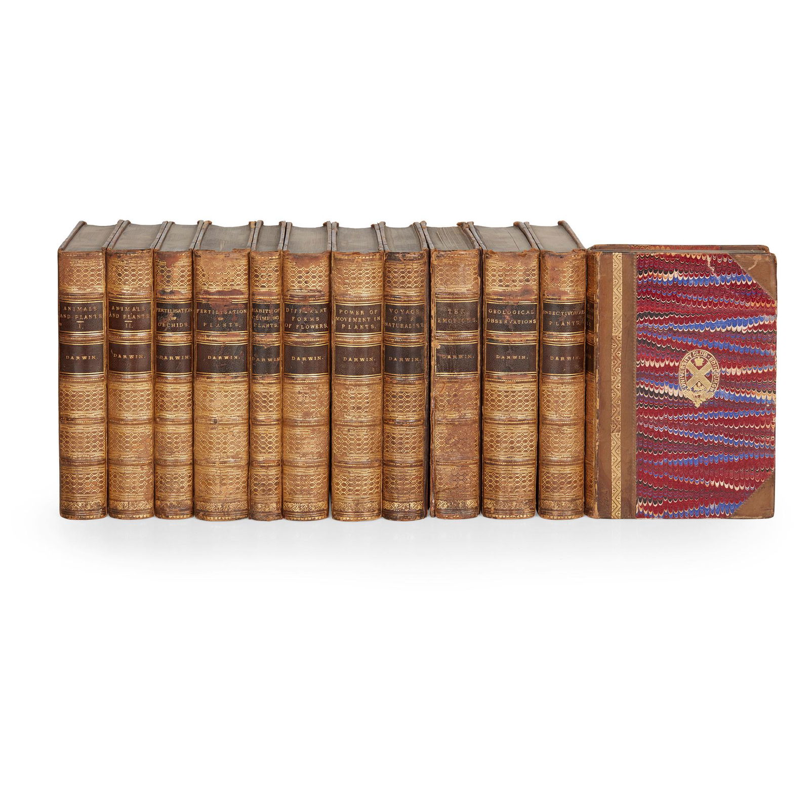 Darwin, Charles Collection of works: Darwin, Charles Collection of works all published by John Murray, 8vo, in contemporary half calf by Mudie, twin morocco labels to spines, gilt tooling to compartments, arms of the University Club, Edi