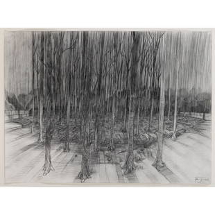 § Hans Op de Beeck (Belgian 1969- ) NYC 3 (My Brother's Garden), 2002: § Hans Op de Beeck (Belgian 1969- ) NYC 3 (My Brother's Garden), 2002 signed, titled and dated (lower right) graphite on paper (45.4cm x 61cm (17 7/8in x 24in)) Provenance The Artist, from