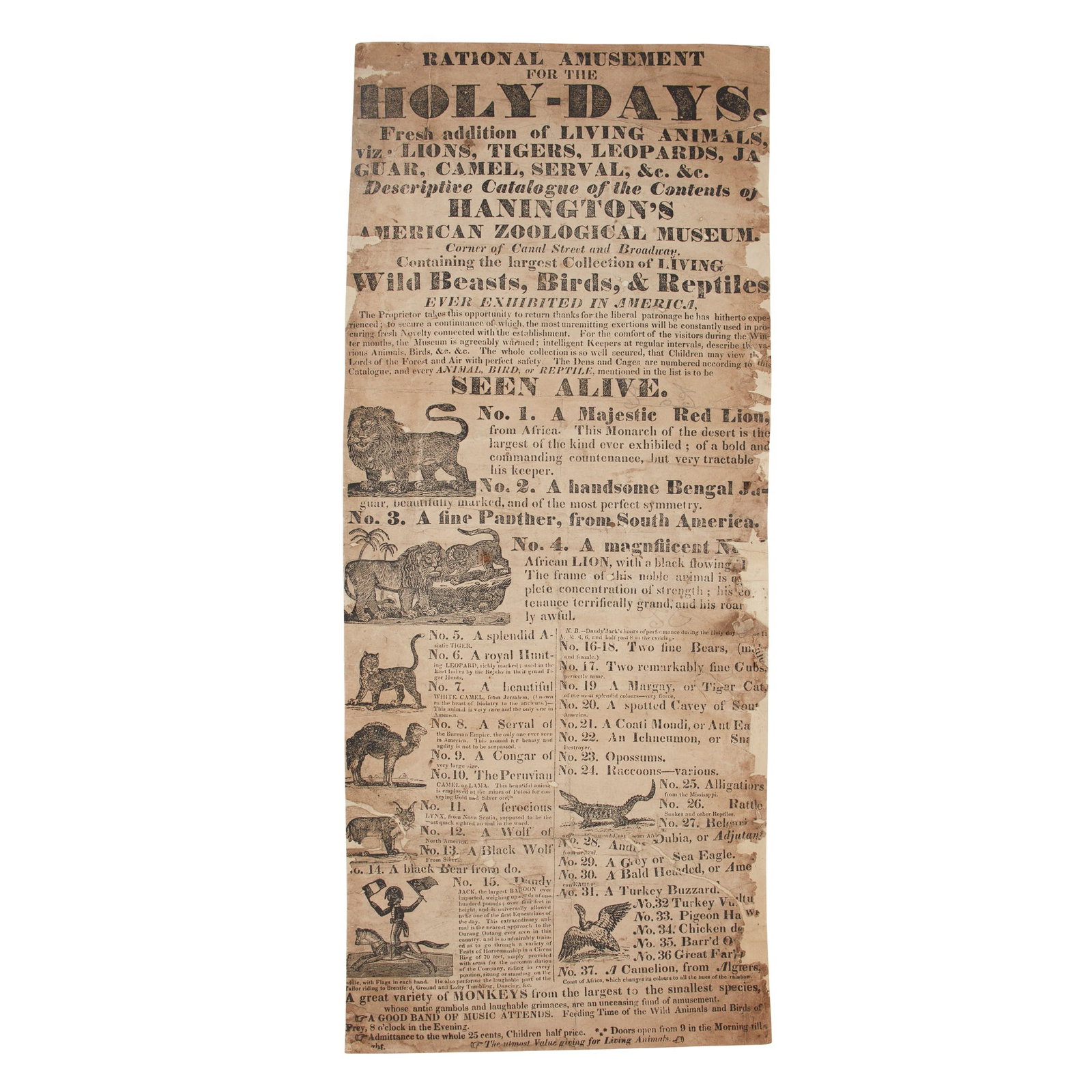 [American Circus / Menagerie]: Hanington's American Zoological Museum Advertising broadside for a: [American Circus / Menagerie]: Hanington's American Zoological Museum Advertising broadside for a menagerie of animals to be "seen alive" Rational Amusement for the Holy-Days. Fresh addition of LIVING