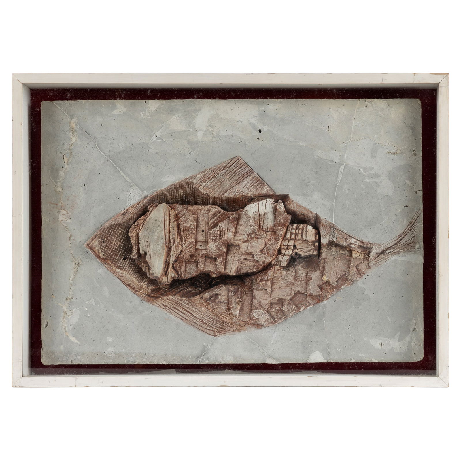 § Bernard Meadows (British 1915-2005) Fish Relief, 1955, Opus 19: § Bernard Meadows (British 1915-2005) Fish Relief, 1955, Opus 19 from the edition of 6 and 1 A/C (6 bronze, 1 brass and 1 plaster), plaster (39.5cm x 57.5cm (15 1/2in x 22 5/8in)) Provenance The