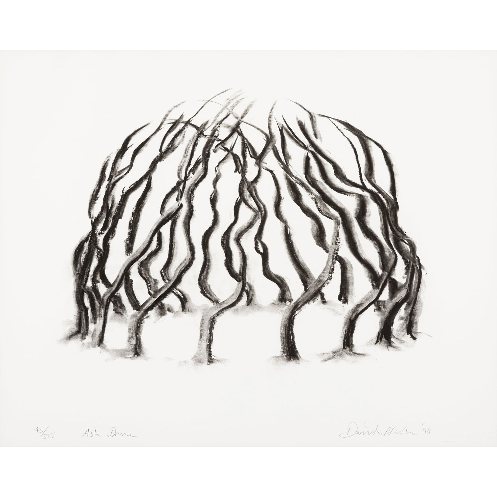 § DAVID NASH (BRITISH 1945-): DAVID NASH (BRITISH 1945-) ASH DOME (FROM 'WHY DRAW LANDSCAPE' PORTFOLIO), 1998 signed and dated in pencil (lower right), numbered 45/50 and titled (lower left), direct gravure on wove paper, wi