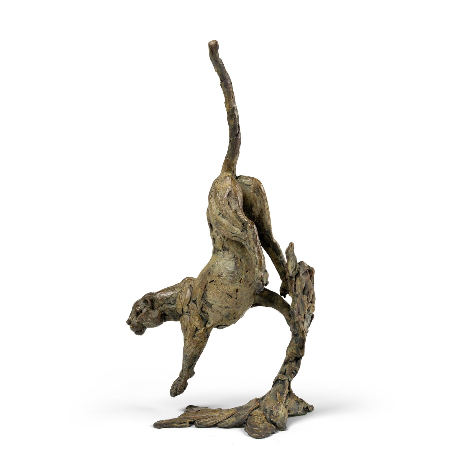 § HAMISH MACKIE (BRITISH 1973-): HAMISH MACKIE (BRITISH 1973-) LEOPARD COMING OUT OF A TREE, 2008 initialled, dated and numbered 11/12, patinated bronze 67.5cm high, 35.5cm wide (26 5/8in high, 14in wide) Private Collection, London.