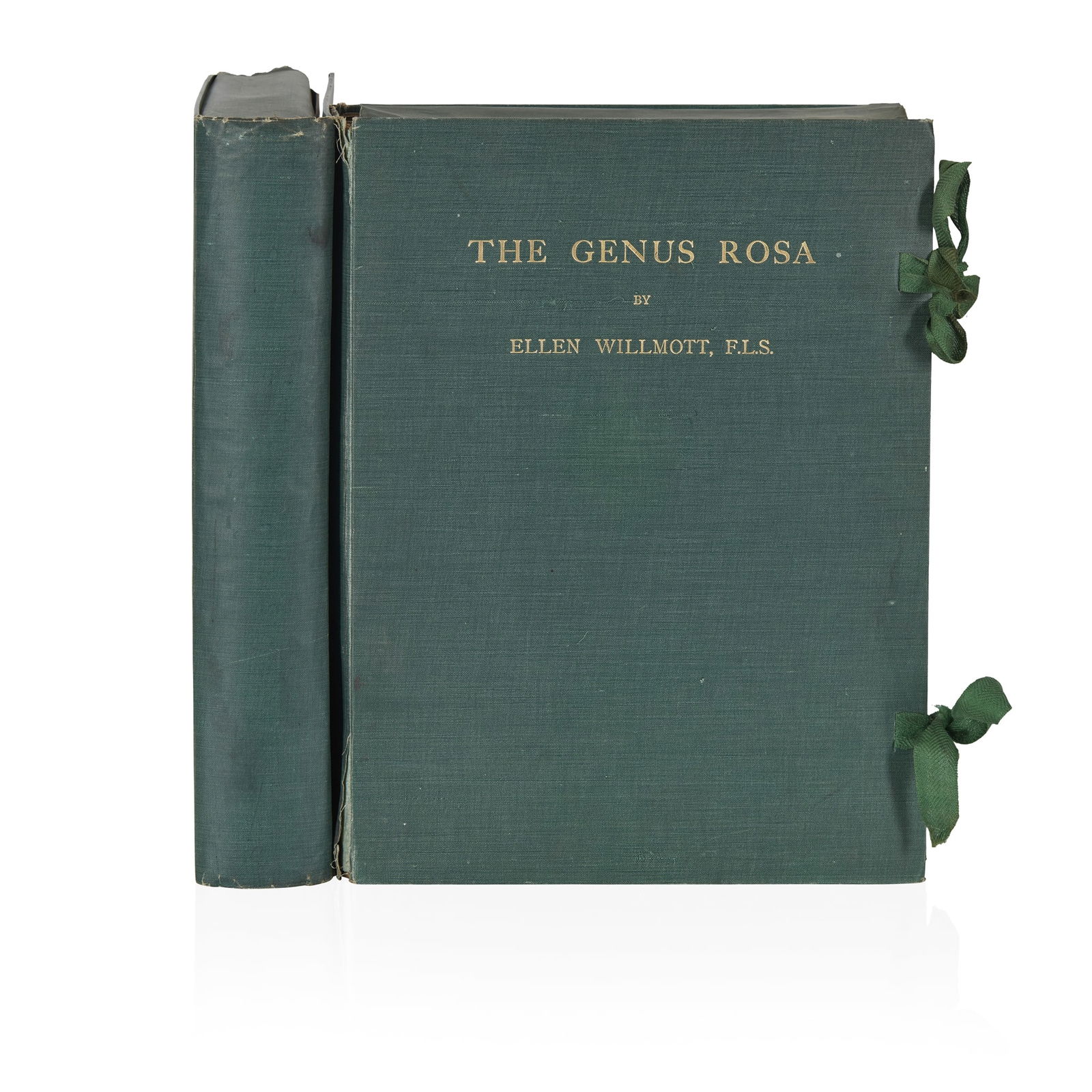 Willmott, Ellen: Willmott, Ellen The Genus Rosa London: John Murray, 1910-1914. Folio, in 25 parts with original wrappers and two custom cases (2)