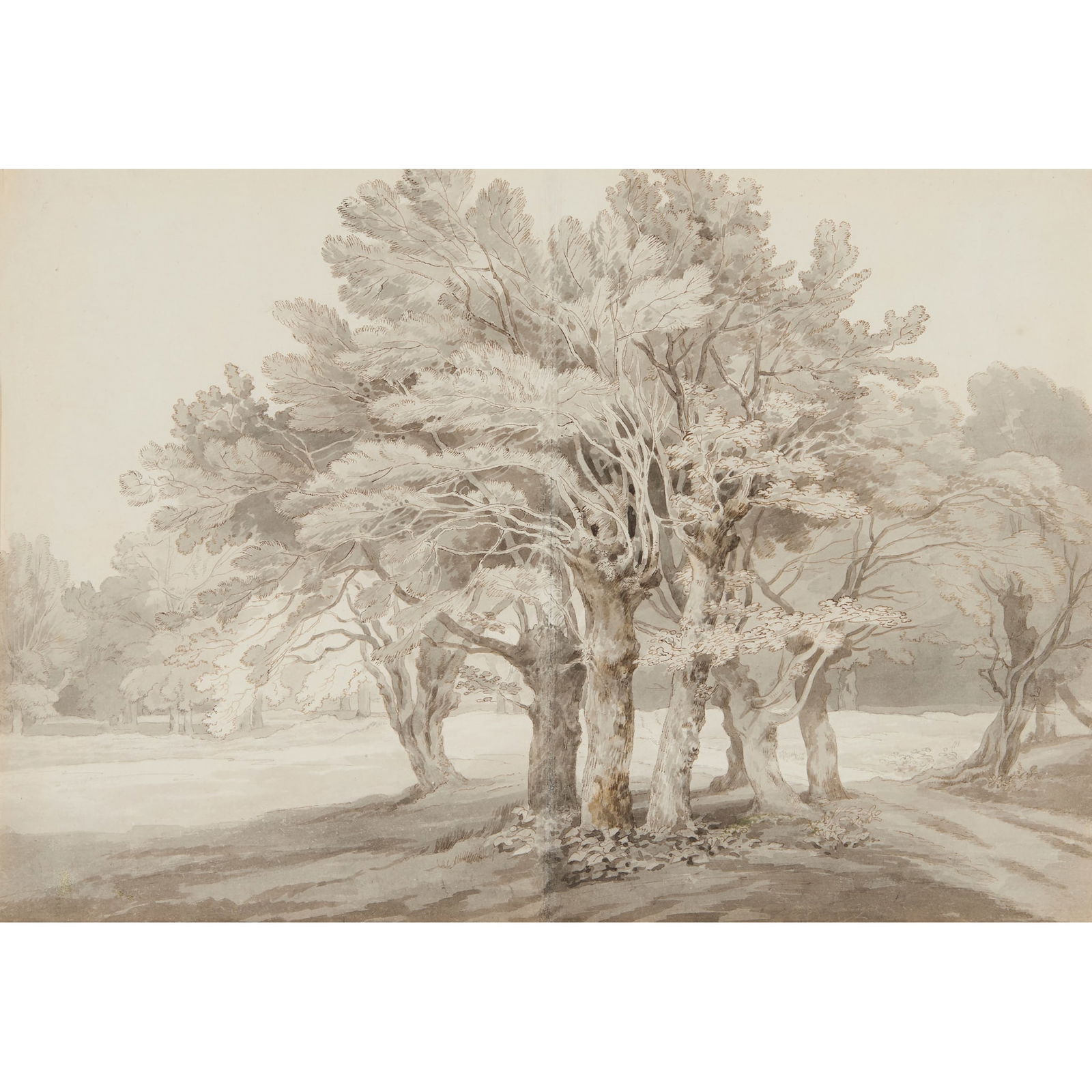 JOHN WHITE ABBOTT (BRITISH 1763-1851): JOHN WHITE ABBOTT (BRITISH 1763-1851) STUDY OF TREES pen, ink and wash on two conjoined sheets of paper 25.5cm x 36cm (10in x 14 ¼in) By descent from the Artist until c.1995Bearnes Hampton & Litt