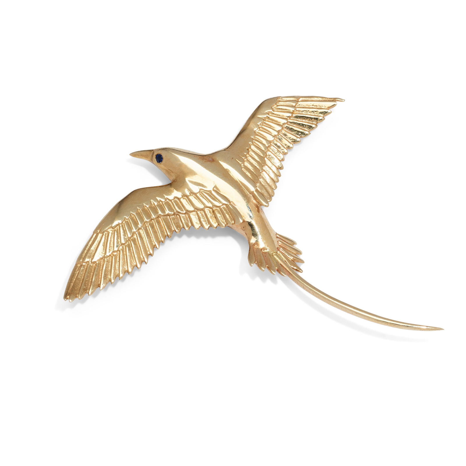 A 'Bermuda Longtail' brooch (1 of 1)