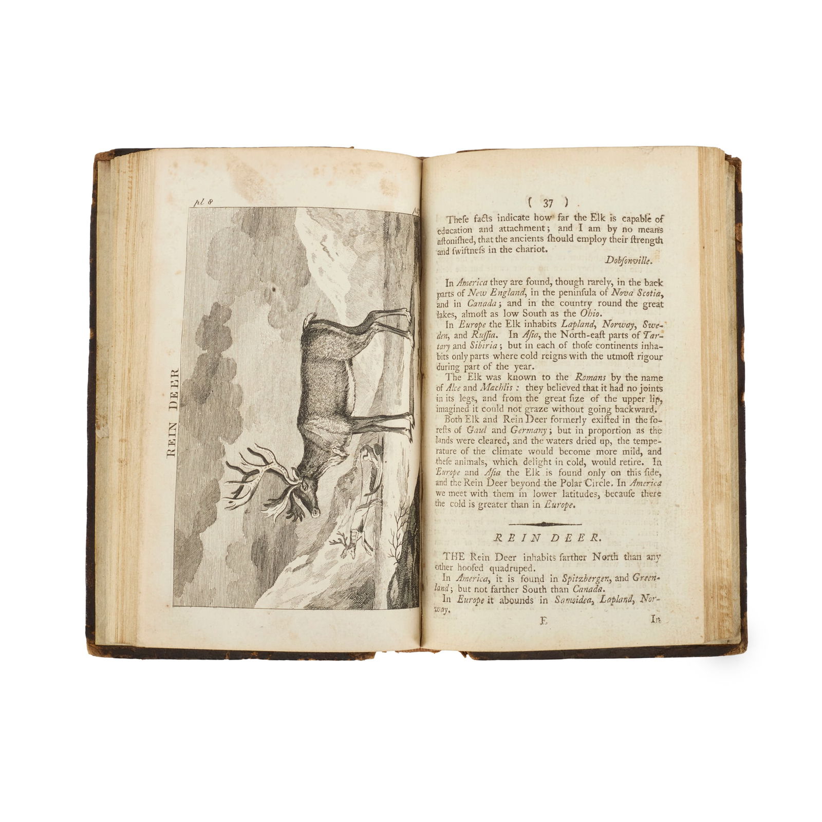 [Leverian Museum / Fenn, Lady Ellenor]: [Leverian Museum / Fenn, Lady Ellenor] A Short History of Quadrupeds London: John Marshall, [1799]. 2 volumes, 12mo, half-titles, 54 engraved plates, publisher's catalogue in volume 1, contemporary ca