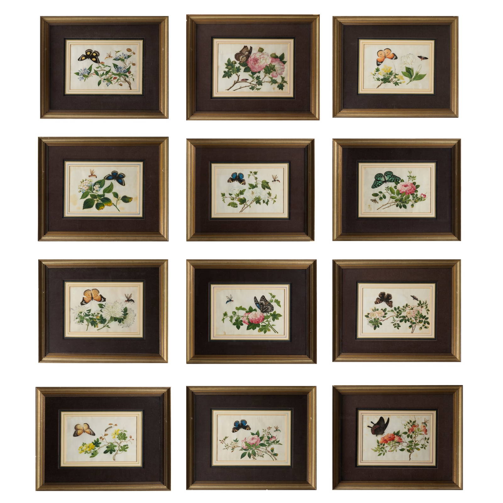 [PRIVATE SCOTTISH COLLECTION, PERTHSHIRE] SET OF TWELVE CHINESE EXPORT 'BUTTERFLY AND FLOWER' PITH