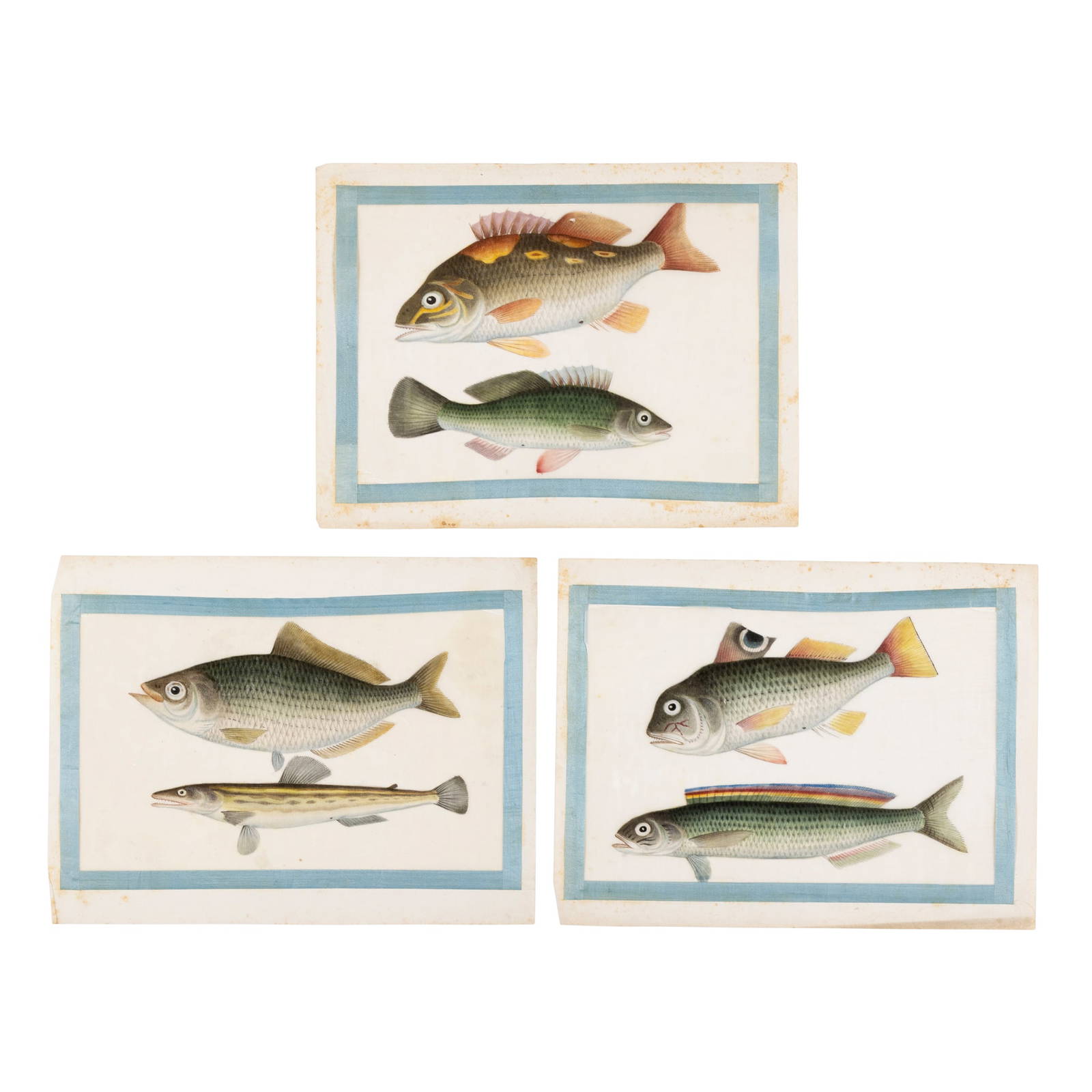 CHINESE ALBLUM OF NINETEEN LEAVES PITH PAINTINGS