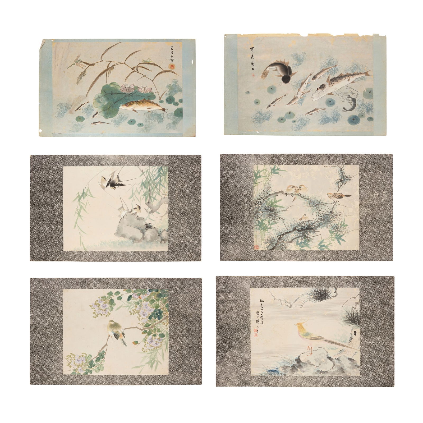 CHENG YUANZHANG (CHINESE): CHENG YUANZHANG (CHINESE) GROUP OF SIX CHINESE PAINTINGS OF FISH, BIRDS AND FLOWERS 陳元章 鳥及魚圖 水墨設色紙本