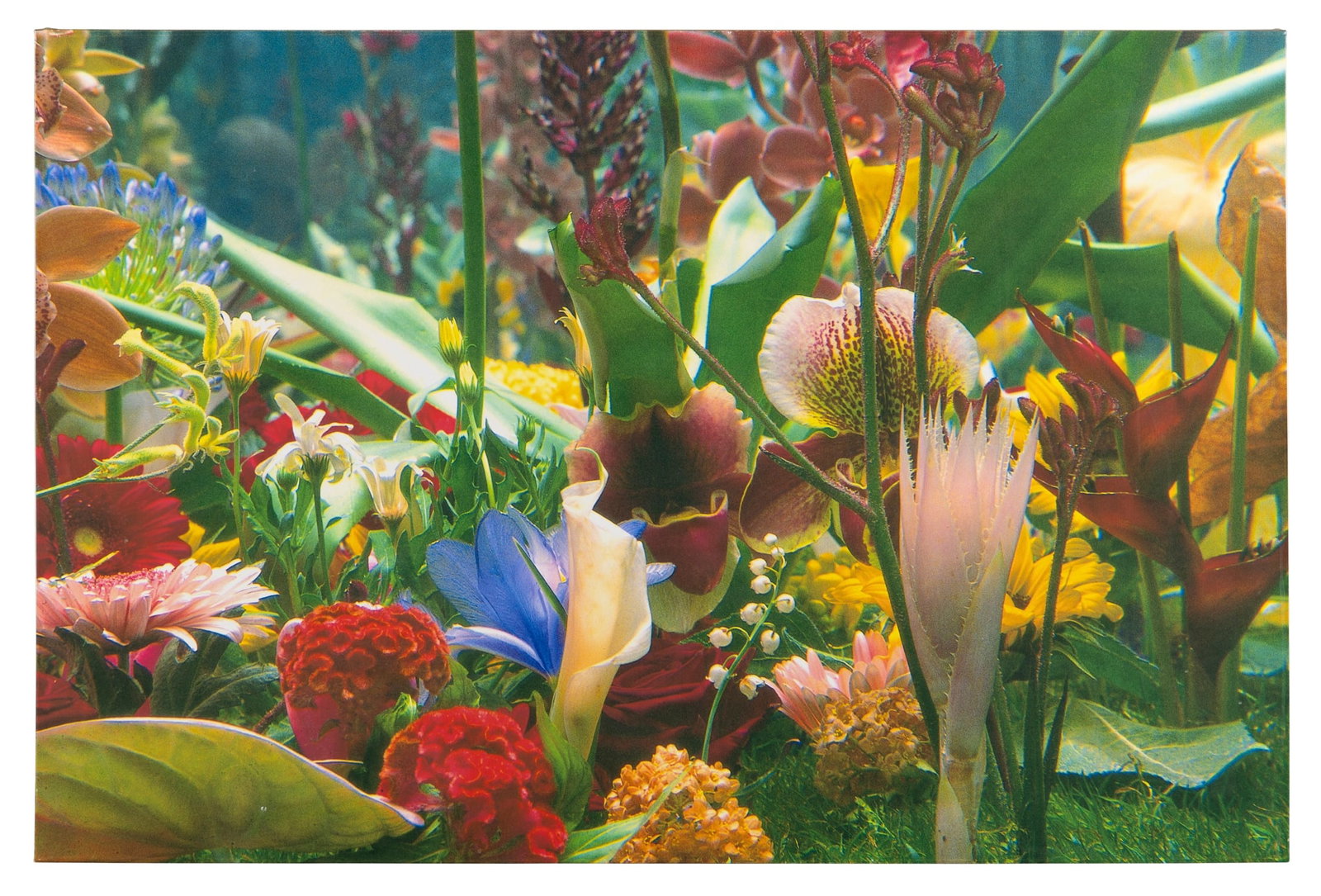 § MARC QUINN (BRITISH 1964-) (1 of 2)