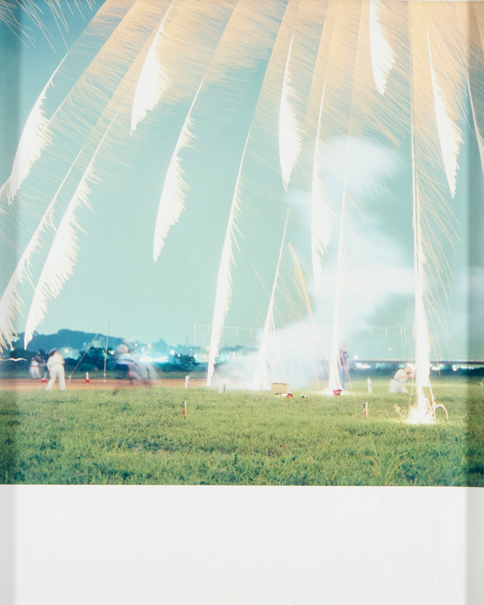 ‡ RINKO KAWAUCHI (JAPANESE 1972-) (1 of 3)
