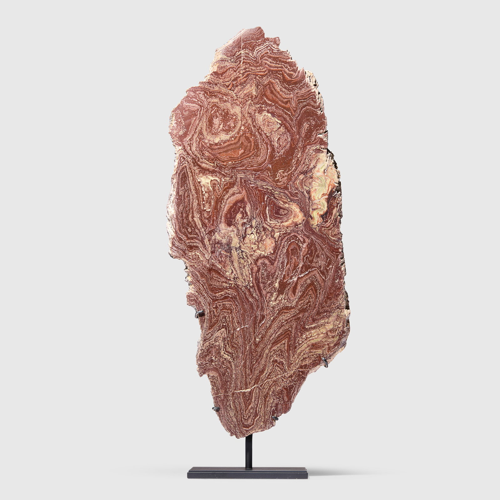 STROMATOLITE SPECIMEN: STROMATOLITE SPECIMEN UPPER TACHGAGALT FORMATION, MOROCCO, PRECAMBRIAN PERIOD, 635 ? 541 MILLION YEARS B.P. cut and polished stromatolite (Conophyton amantourartensis), displaying undulating and foldi