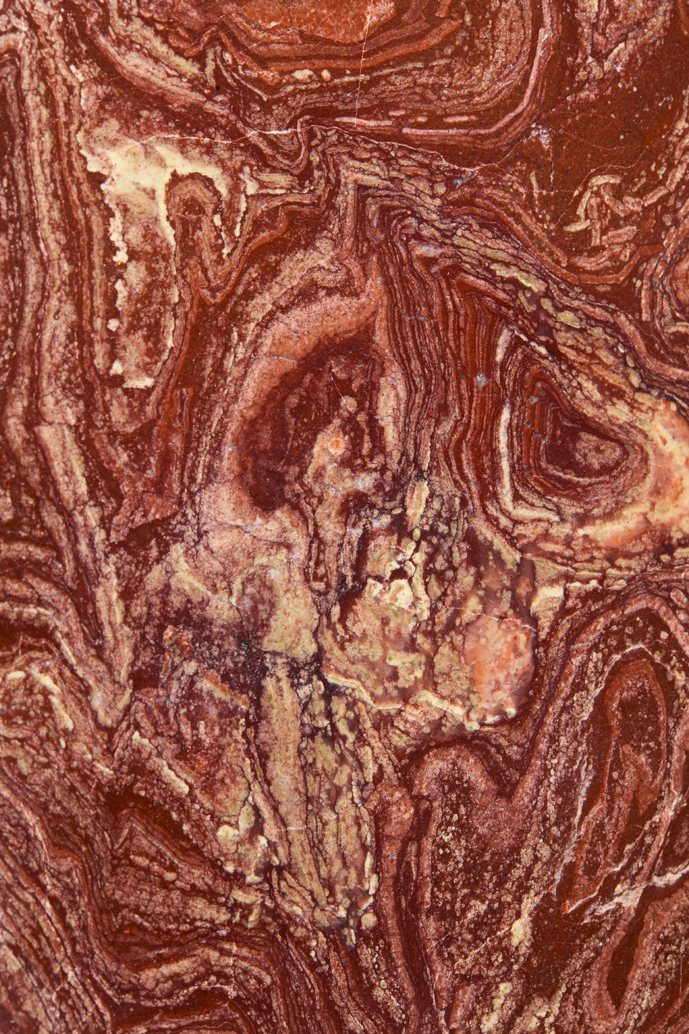 STROMATOLITE SPECIMEN - 3