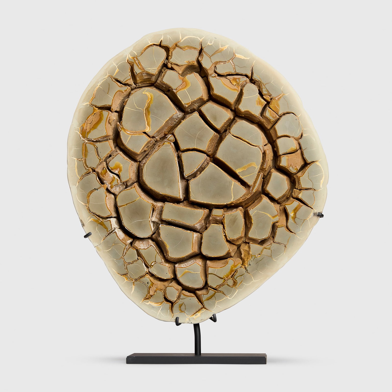 SEPTARIAN CONCRETION: SEPTARIAN CONCRETION BOOM, BELGIUM, OLIGOCENE, 30 MILLION YEARS B.P. a sculptural septarian concretion with calcite crystal growth filling natural cavities within limestone, formed as mineral rich